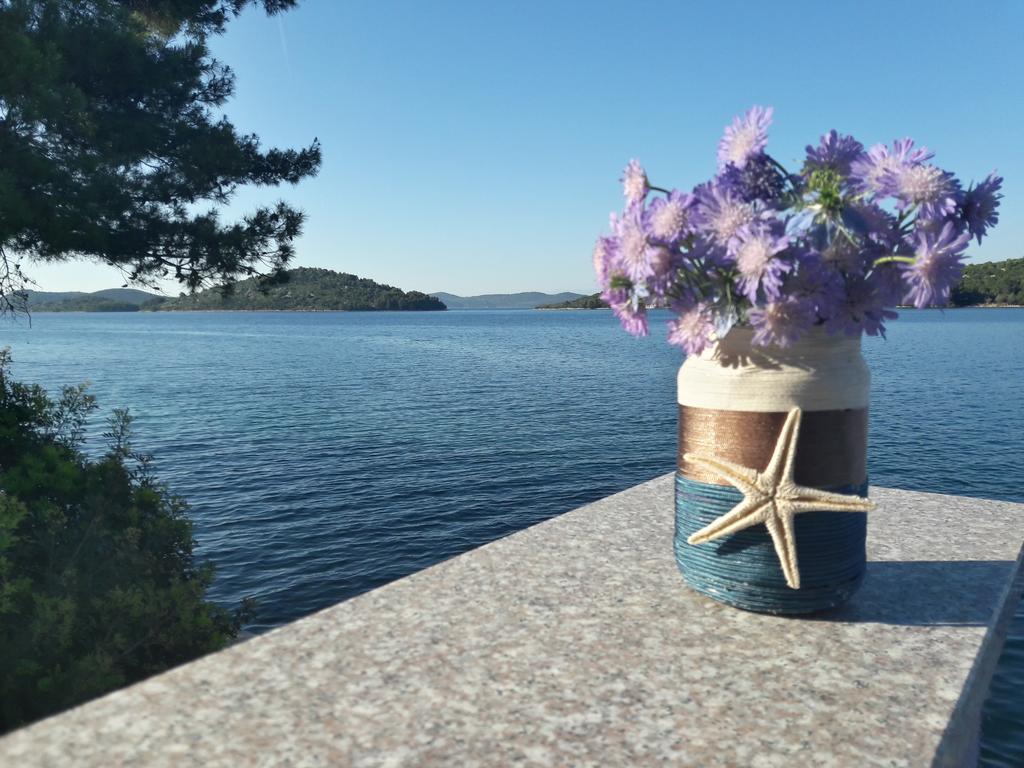 Bed and Breakfast Pansion Alen - Dugi Otok Luka  Exterior foto