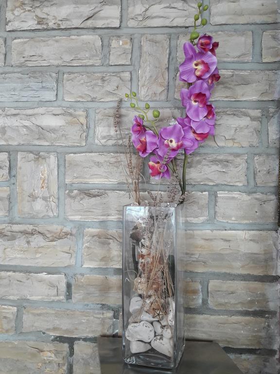 Bed and Breakfast Pansion Alen - Dugi Otok Luka  Exterior foto