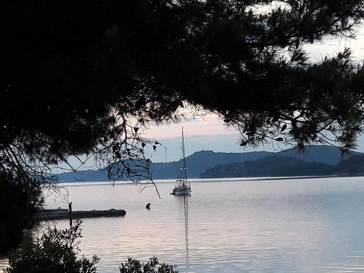 Bed and Breakfast Pansion Alen - Dugi Otok Luka  Exterior foto